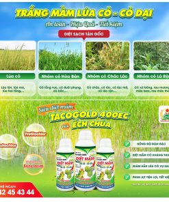 Diet- mam- ech- chua