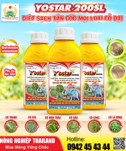 THUỐC TRỪ CỎ YOSTAR 200SL