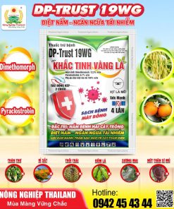 THUỐC TRỪ BỆNH DP-TRUST 19WG – HIỆU KHẮC TINH VÀNG LÁ