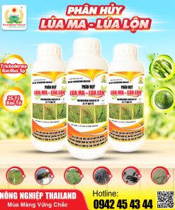 THUỐC TRỪ CỎ BIO-HK TRICHODERMA-BACILLUS