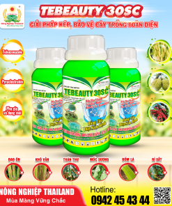 THUỐC TRỪ BỆNH TEBEAUTY 30SC - XANH LÁ