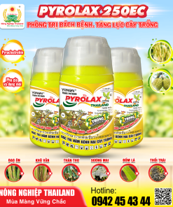 THUỐC TRỪ BỆNH PYROLAX 250EC - Nông nghiệp Thailand