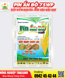 Alternative view of THUỐC TRỪ BỆNH PIN ẤN ĐỘ 75WP