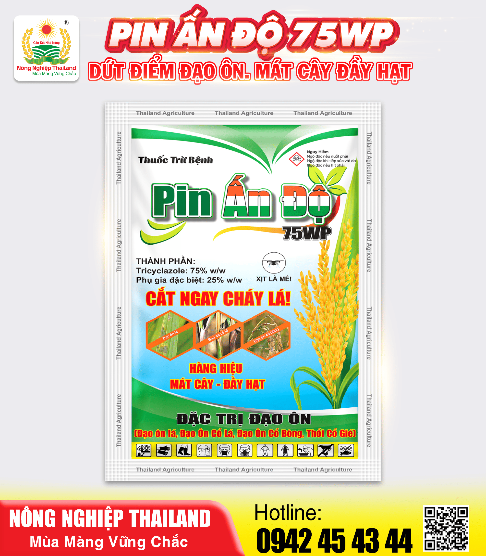 THUỐC TRỪ BỆNH PIN ẤN ĐỘ 75WP - Ảnh 2