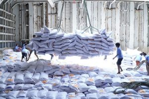 Doanh nghiệp xuất khẩu gạo cần chiến lược dài hơi