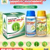 PHÂN BÓN BỘ ĐÔI DINH DƯỠNG ĐÒNG BỰ - BÔNG KẸO - Nông nghiệp Thailand
