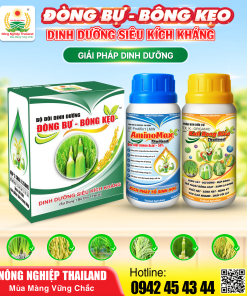 PHÂN BÓN BỘ ĐÔI DINH DƯỠNG ĐÒNG BỰ - BÔNG KẸO - Nông nghiệp Thailand