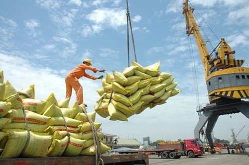 Gạo xuất khẩu Việt Nam duy trì mức giá ổn định trong tháng 3/2026.
