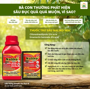 Bà con thường phát hiện sâu đục quả quá muộn, vì sao? phòng trừ sâu đục quả và cách tăng năng suất