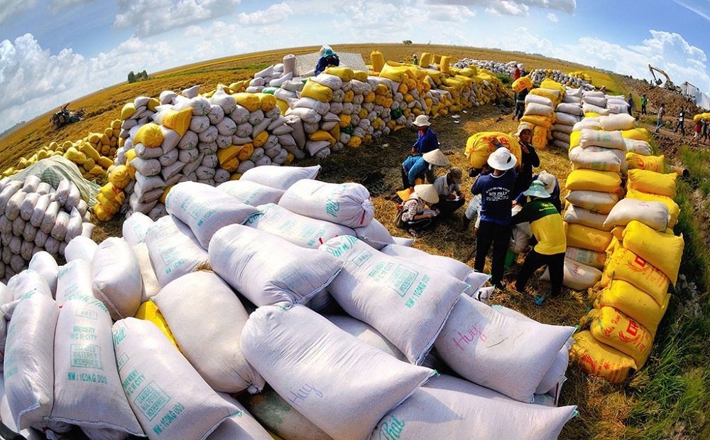 Philippines nhập 1.5 triệu tấn gạo Việt Nam trước hiện tượng El Nino, tương lai cho ngành lúa gạo Việt