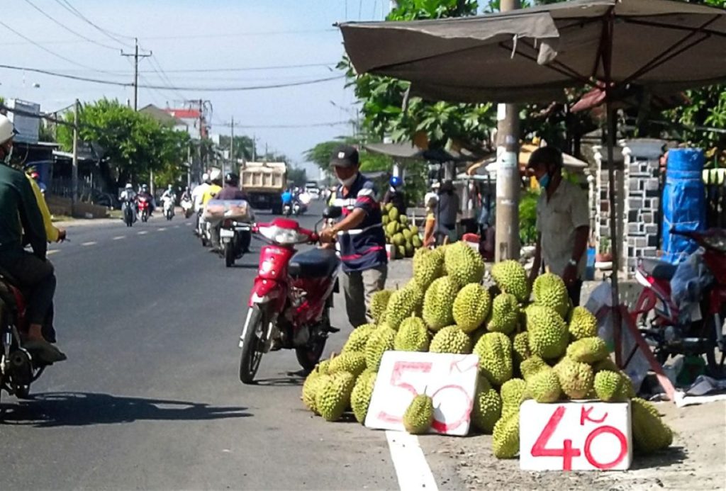 Sầu riêng Đồng Tháp bày bán ven đường giữa mùa thu hoạch rộ tháng 5/2026 – hơn 111.000 tấn đối mặt nguy cơ nghẽn đầu ra, giá giảm mạnh.