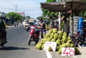 Sầu riêng Đồng Tháp bày bán ven đường giữa mùa thu hoạch rộ tháng 5/2026 – hơn 111.000 tấn đối mặt nguy cơ nghẽn đầu ra, giá giảm mạnh.