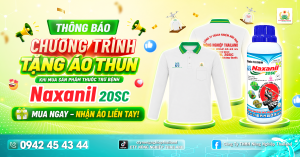 naxanil tang ao thun