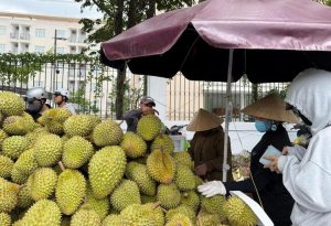 Giá Ri6 quay đầu tăng mạnh sau nhiều tuần lao dốc – tín hiệu tích cực cho nhà vườn miền Tây khi Ri6 loại A chạm mốc 54.000 đồng/kg.
