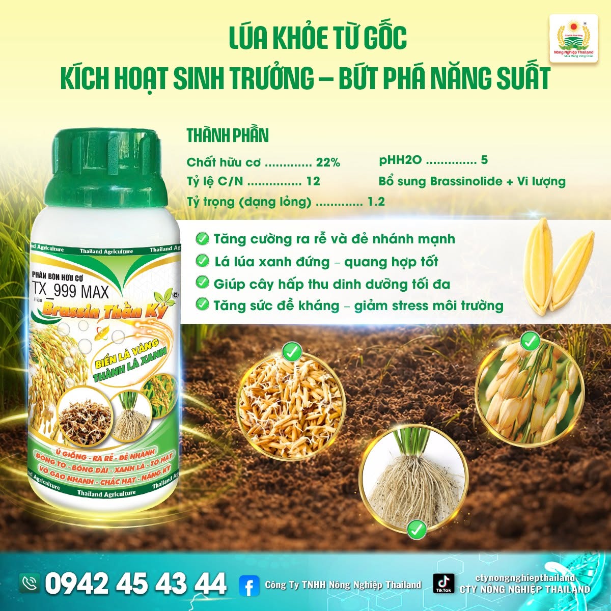 Brassin Thần Kỳ: Giải Pháp Chống Sốc, Giải Độc Mầm Lúa Đỉnh Cao Từ Công Ty TNHH Nông Nghiệp ThaiLand