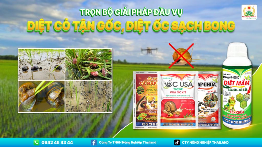 DIỆT CỎ TẬN GỐC, DIỆT ỐC SẠCH BONG (1)