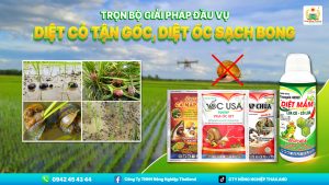 DIỆT CỎ TẬN GỐC, DIỆT ỐC SẠCH BONG (1)