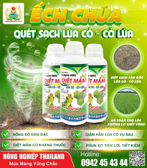 Tacogold 400EC diệt mầm cỏ hiệu quả, an toàn tuyệt đối cho lúa