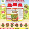 THUỐC TRỪ CỎ FUTURE 50EC CHỌN LỌC CHÍNH XÁC – CỎ CHẾT, CÂY VẪN XANH