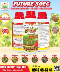 THUỐC TRỪ CỎ FUTURE 50EC CHỌN LỌC CHÍNH XÁC – CỎ CHẾT, CÂY VẪN XANH