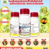 THUỐC TRỪ BỆNH AFENZOLE 325SC XANH LÁ OẰN BÔNG – NHÀ NÔNG SUNG TÚC