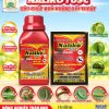 NALIKO 16SC – TIÊU DIỆT SÂU GỐI LỨA KHÁNG THUỐC HIỆU QUẢ NHẤT HIỆN NAY!