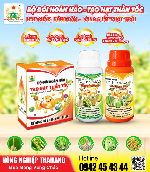 Bộ Đôi Hoàn Hảo – Tạo Hạt Thần Tốc