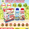 THUỐC TRỪ BỆNH BỘ ĐÔI ĐẠO ÔN + VI KHUẨN THAILAND BÍ KÍP NHÀ NÔNG – PHUN KHÔNG NÓNG BÔNG