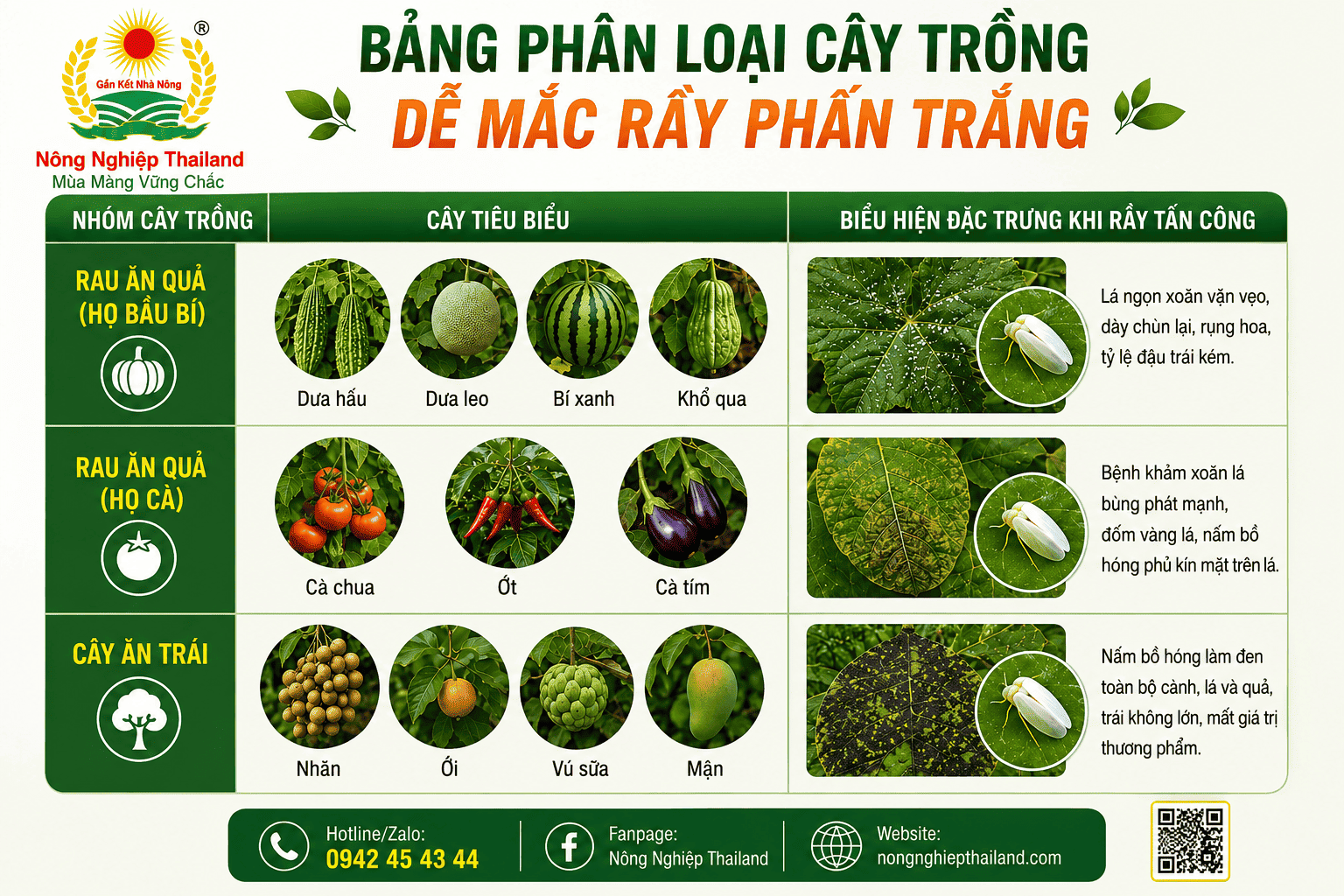Bảng Phân Loại Cây Trồng Dễ Mắc Rầy Phấn Trắng