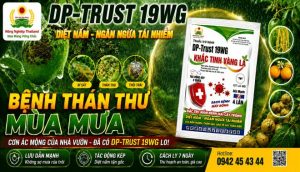 Bệnh Thán Thư Mùa Mưa – Cơn Ác Mộng Của Nhà Vườn