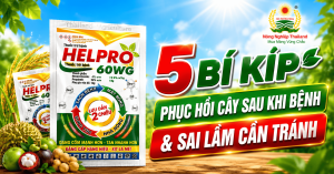 5 Bí Kíp Phục Hồi Cây Sau Khi Bệnh & Sai Lầm Cần Tránh