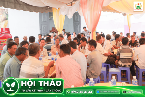 Không khí sôi nổi với sự góp mặt của hơn 200 bà con nông dân tại Vĩnh Long (Trà Vinh cũ)
